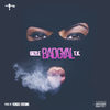 Badgyal (Explicit) - Gizzle&T.K