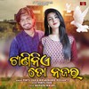 Taninie To Najara - Pintu Das&Biswashree Mohanty