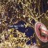 Wish Upon a Star - LIHO