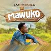 Mawuko - Jah Phinga