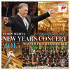 Annen-Polka, Op. 117 (Live) - Zubin Mehta&Wiener Philharmoniker&Johann Strauss