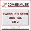 Wir sind immer da wo die Musi spielt - Die Alpengruftis