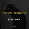 Democracy - FlySound&Tee Bobby&Frozzy