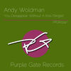 You Desappear Without A Kiss (Original Mix) - Andy Woldman