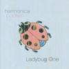 Four Spaces - The Harmonica Pocket