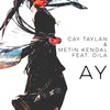 AY (Instrumental) - Cay Taylan&Metin Kendal&Dila