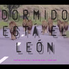 Dormido Está el León - Poetas Puestos&Nova Mejias&Yeke Boy&Carles Sanchis Blasco&Pablo Carod Espadas&José Luis San Pedro García&Jaime Mejias