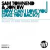 How Can I Love You (Take You Back) (Quake vs Rob Tissera Remix) - Sam Townend&Jon BW