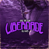 Liberdade - MC Dessa&DJ W5