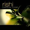 Nobody F**ks With the J - Rishi