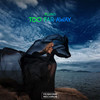 Too Far Away (Radio Edit) - Flund