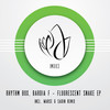 Fluorescent Snake (Edit Version) - Rhythm Box&Bardia F