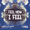 Feel How I Feel(feat. HértZ) - Douth!&Hertz