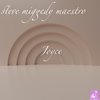 Joyce (MS III Disco ReRub) - Steve Miggedy Maestro&Morttimer Snerd III