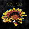 Mestefeker (feat. Bruck Tesfaye) - Arat Kilo&Bruck Tesfaye