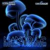 Arriba Arribaaa!!! (Original Mix) - Nando CP