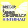 Hinterhalt (Marcus Sur Remix) - Breger&Moog Conspiracy