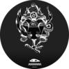 Rollberg - Marco Schneider
