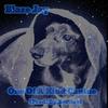 One Of A Kind Canine - Blaze Jay