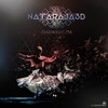 Did I Say - Nataraja3D