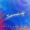 What Can I Do (Radio Edit) - SecondCity&Ali Love