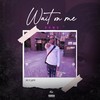 Wait On Me (Explicit) - Remz