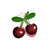 cherry (Explicit) - Leddy