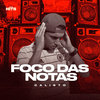 Foco Das Notas - Alta Hits&Calisto