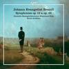 I. Andante con moto - Presto - Staatsphilharmonie Rheinland-Pfalz&Kevin Griffiths