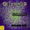 Calming (Original Mix) - Ildrealex