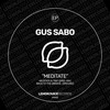 Back To The Groove - Gus Sabo