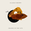 Shapes in the Sun - Allman Brown
