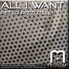 All I Want (Original Mix) - Peter Pizzutelli