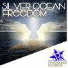 Freedom (Rockstar Remix) - Silver Ocean&Rockstar