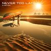 Never Too Late (Tommy Trash & Frew Remix) - Karton