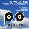 Party With My Bass (SL Mix) - DJ Pasha Shock