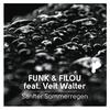 Sanfter Sommerregen (Thomas Scheffler meets Funk & Filou Remix) - Funk&Veit Walter&Filou