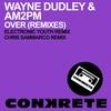 Over (Electronic Youth Remix) - Wayne Dudley&am2pm