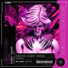 Shibby Shake (Original Mix) - Desty Rush&HOUP