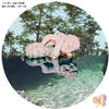 Bingo Funk (AirplaneMood Remix) - MARCO RUGGIERO&The Bingo Funk Project