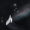 我的样子 (伴奏) - 王凯琪