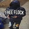 FREE FLOCK (feat. Dougie) (Explicit) - Amiri Gang&Dougie