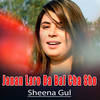 Qarara Shpa We Sok Na We - Sheena Gul