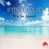 Its So Good (End of Summer Mix) - IntelliQuid