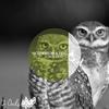 Alone In The Bath (Andres Gonzalez Remix) - Fefo&Nico Bertoni