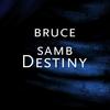 Destiny - Bruce Samb