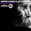 Wizard - Martin Garrix&Jay Hardway