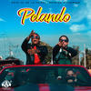 Pelando - Chiki El De La Vaina&Químico Ultramega