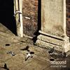 Constant Contrast - Nosound