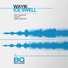 Ice Swell - Wayik